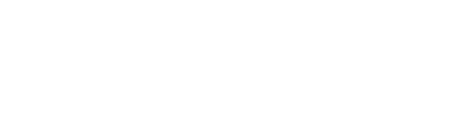 Zucchetti